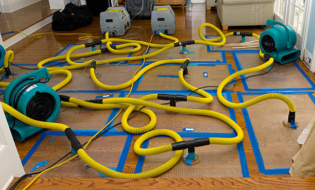 Professional Basement Flood Cleanup technician working in Bluffton, SC